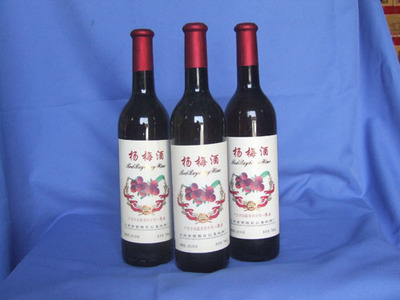杨梅酒